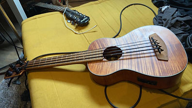 the bass.jpg