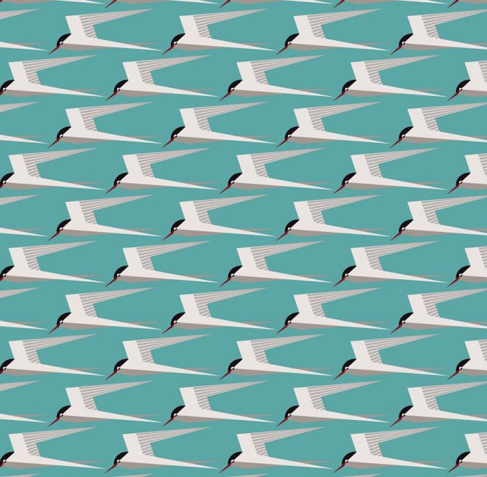 https://newmor.com/product/tern/