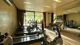 Sirayane gym.png