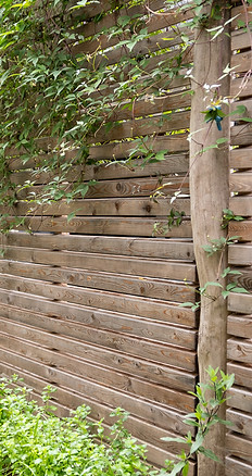 DSCF1081.jpg