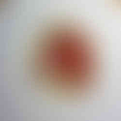 מסעדת Retrobottega רומא Rome