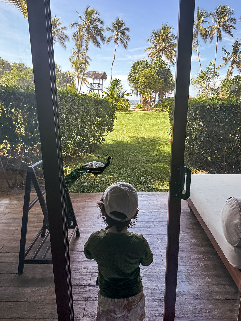 Sri Lanka with a baby סרי לנקה עם תינוק