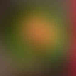 The Gallery Restaurant Ko Tao ืืืกืขืื ืืื ืืืื ืืงื ืืื