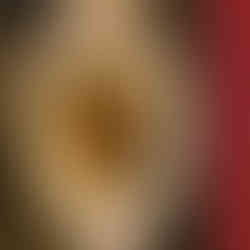 The Gallery Restaurant Ko Tao ืืืกืขืื ืืื ืืืื ืืงื ืืื