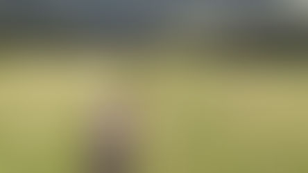 Exploring Chiang Mai: The New City with Ancient Roots