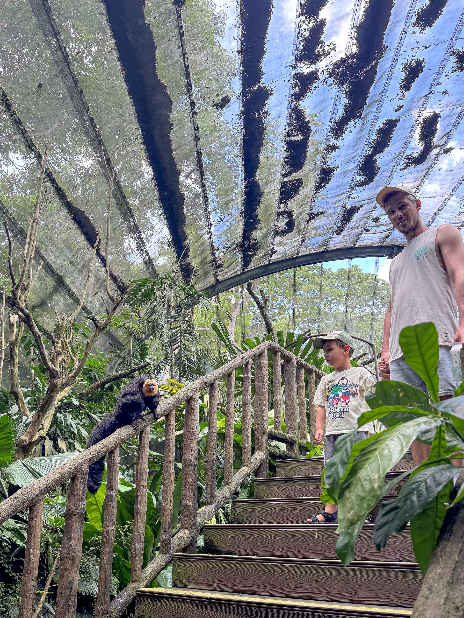 סינגפור עם ילדים singapore zoo