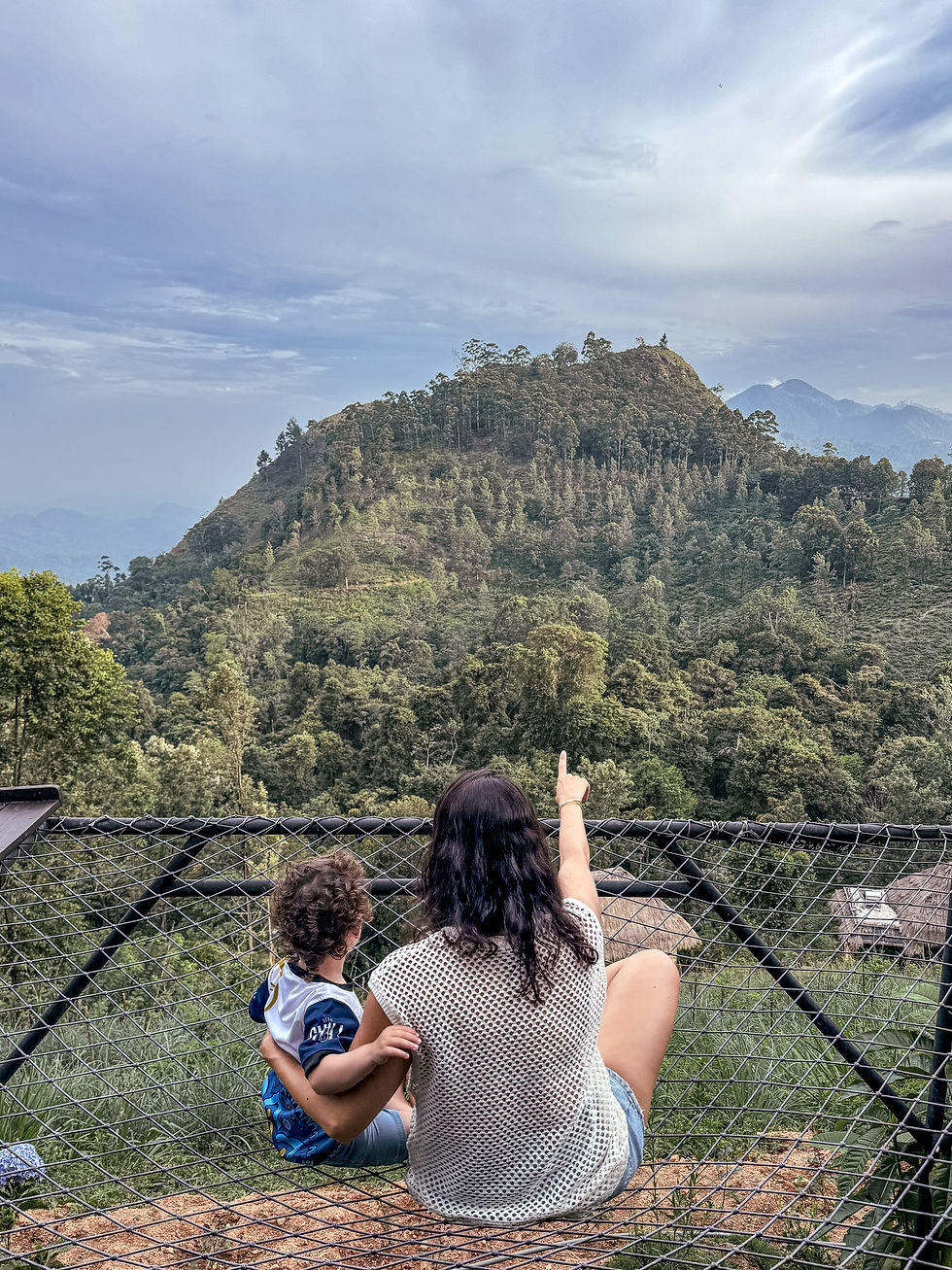 Sri Lanka with a baby סרי לנקה עם תינוק