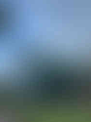 JW Marriott Phu Quoc Emerald Bay Resort & Spa