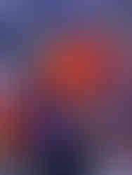  VinWonders Phú Quốc