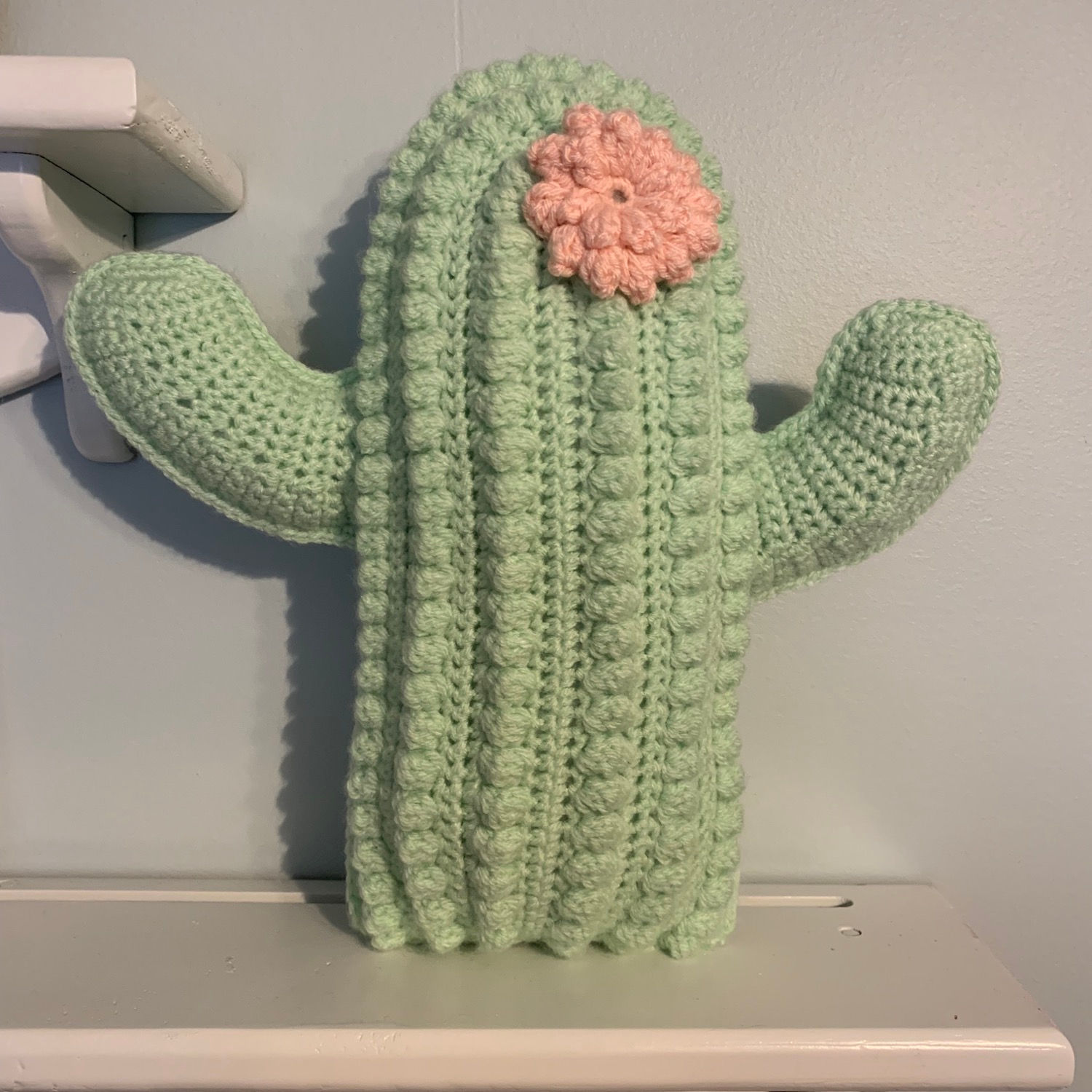 Cactus pillow