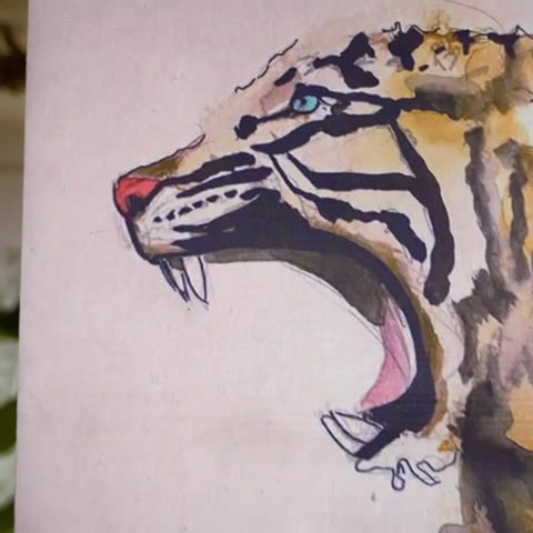 Miniatura: TIGRE
