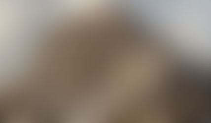 La embriaguez del pensamiento