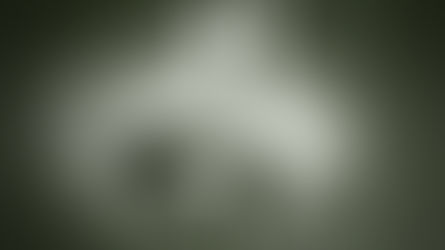 La embriaguez del pensamiento