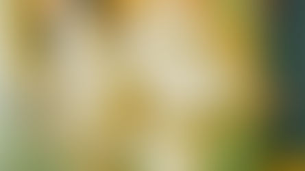 La embriaguez del pensamiento