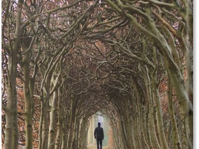 La embriaguez del pensamiento