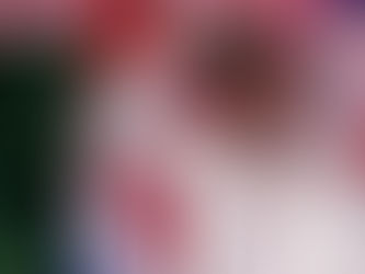 La embriaguez del pensamiento