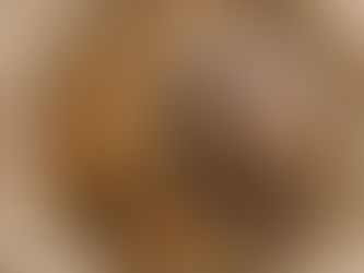 La embriaguez del pensamiento