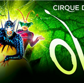 Cirque du Soleil OVO is coming to Manchester!