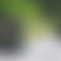 31-Year-Old Man Seriously Injured In Crash On Edward J Roy Drive