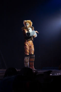 Skimbleshanks - CATS