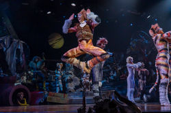 Skimbleshanks - CATS