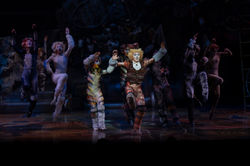 Skimbleshanks - CATS