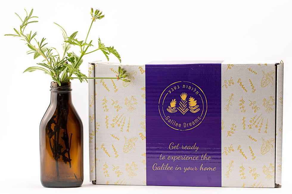 תמונה ממוזערת: קופסת המתנה היוקרתית של חלומות בטבע