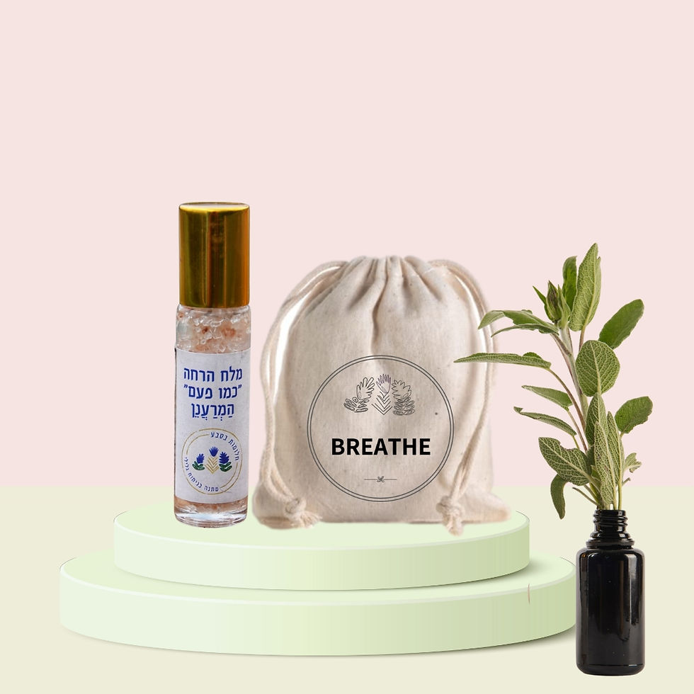 ערכת BREATHE CLEAR שקית ריח 20 ג'