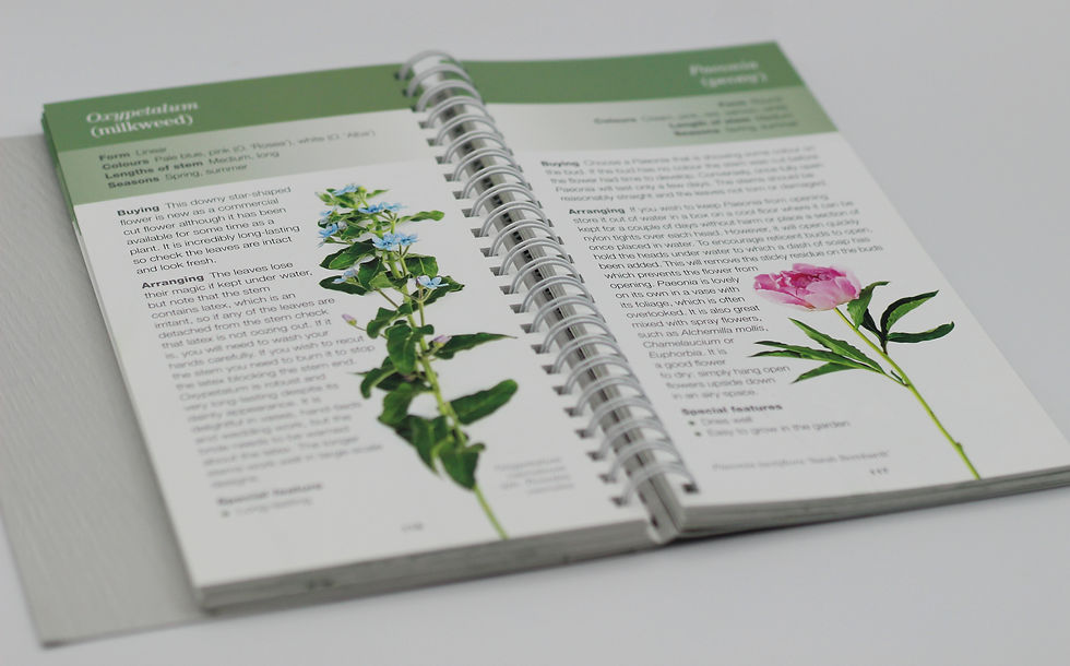 Thumbnail: Buying & Arranging Cut Flowers - The Essential A-Z Guide