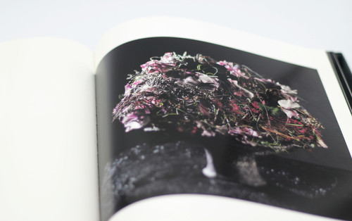 ぴゅ TOR GUNDERSEN / WERKE WORKS 作品集 | Works of Art handcrafts