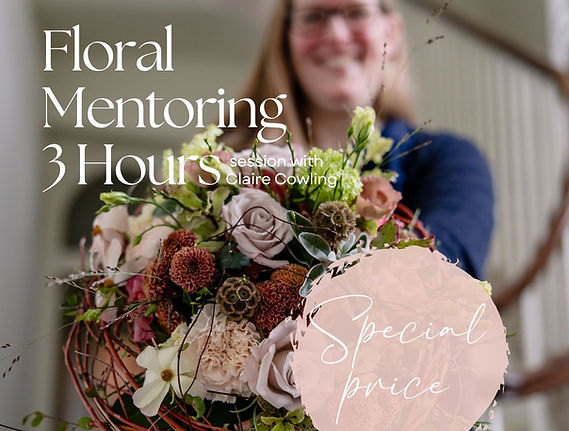 3hours Mentoring Session(1).jpg