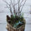Thumbnail: Spring Bulb Heart Basket