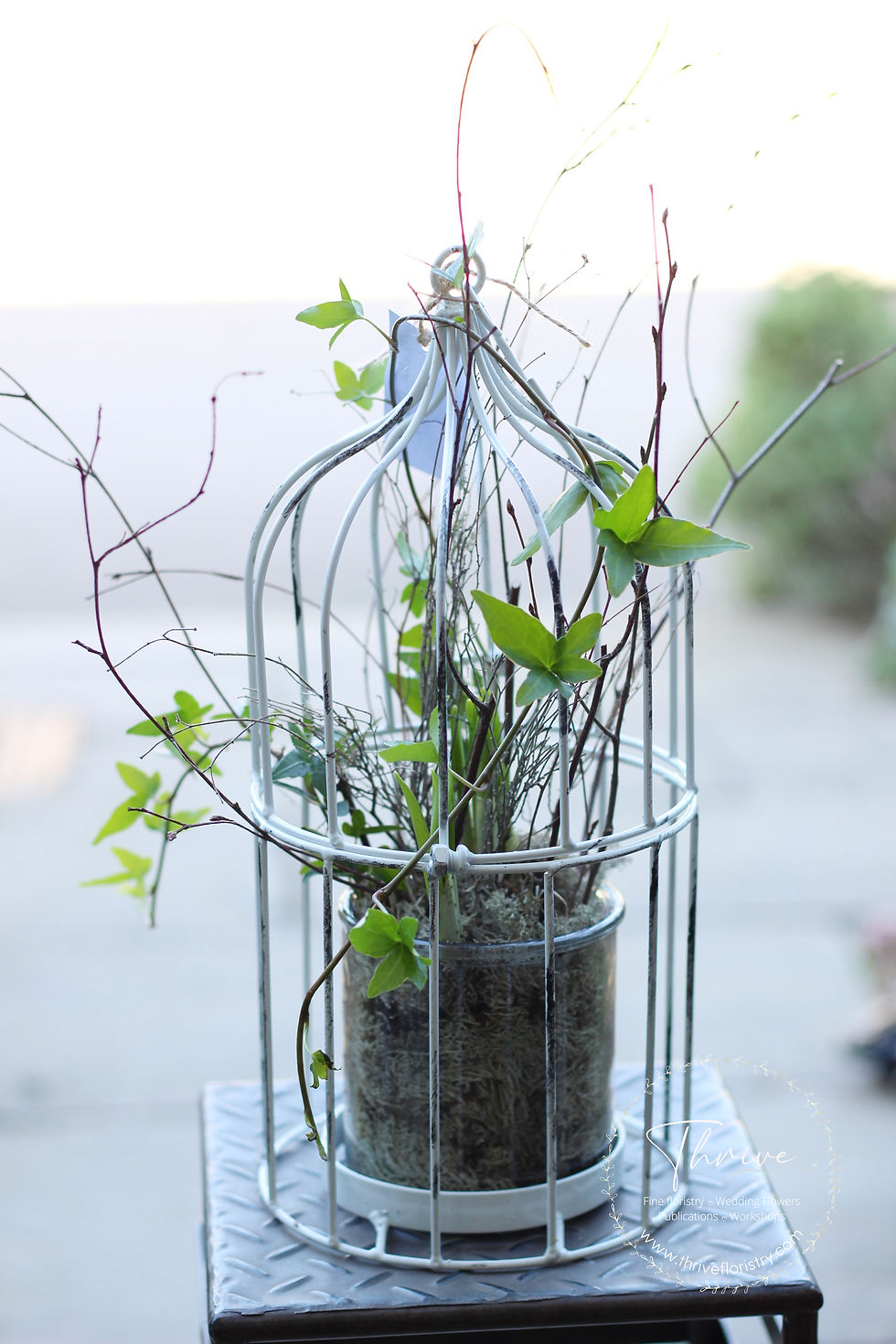 Thumbnail: Spring Bulb Birdcage