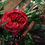 Thumbnail: Everlasting Love