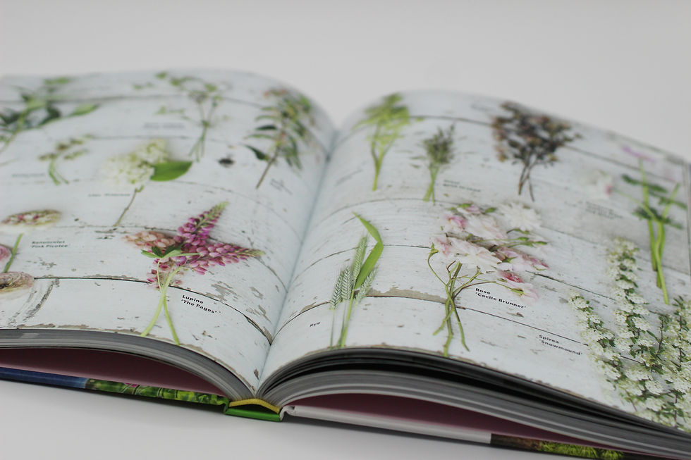 Thumbnail: A Year In Flowers