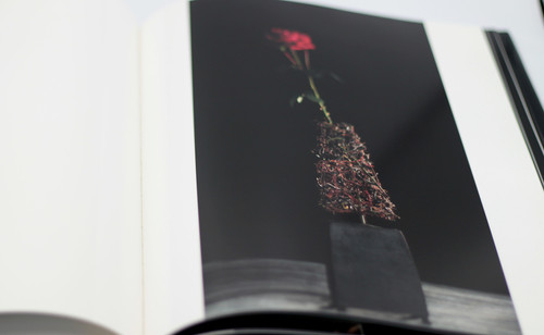 ぴゅ TOR GUNDERSEN / WERKE WORKS 作品集 | Works of Art handcrafts