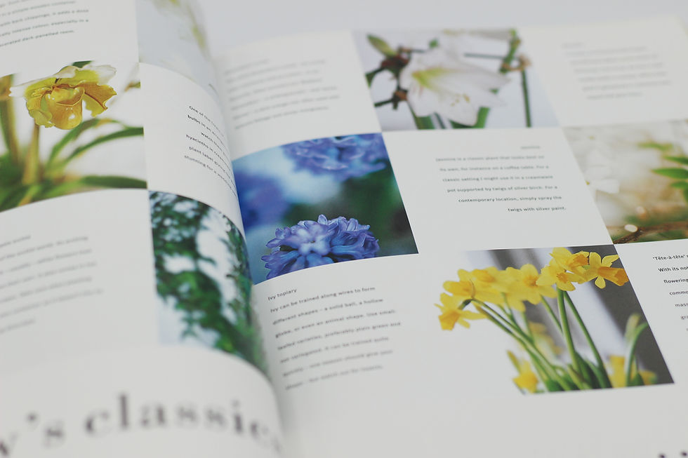 Thumbnail: Flower Power