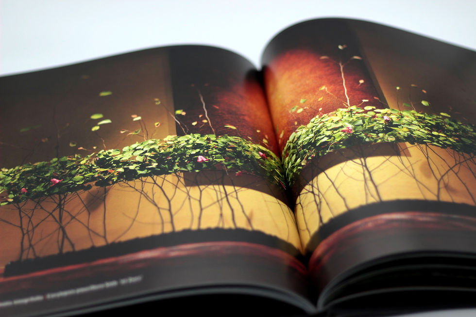佐々木直喜 Japanese Contemporary Floral Art Naoki Sasaki Japanese Contemporary Floral Art | Thrive Floristry