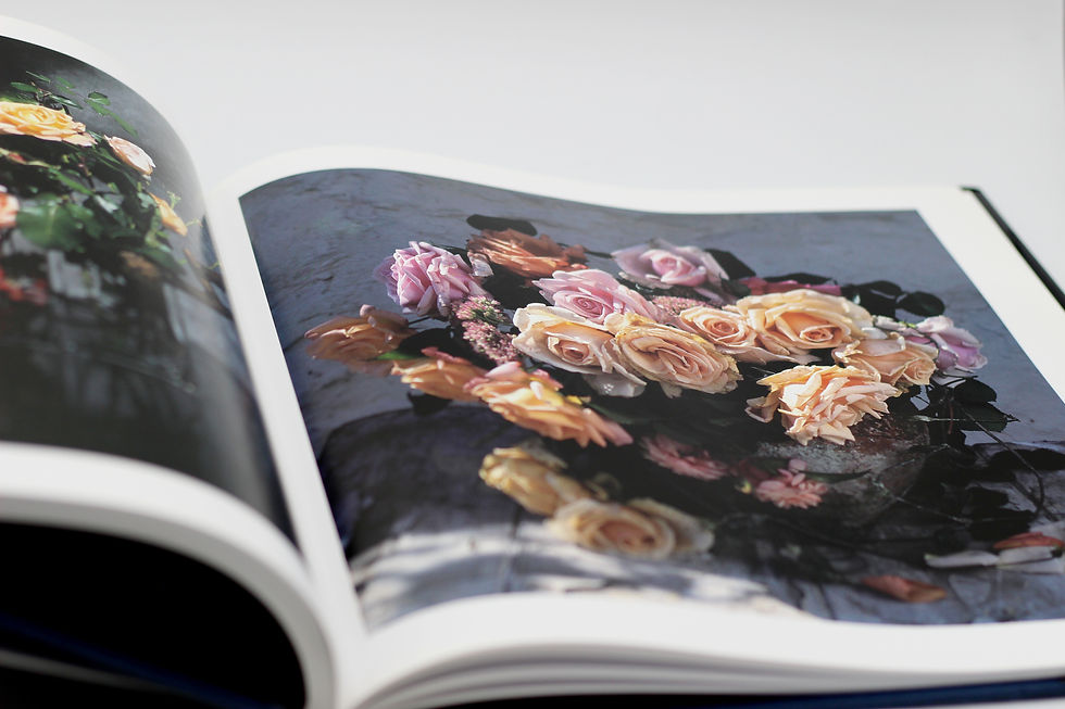 Thumbnail: Spirit Of The Rose