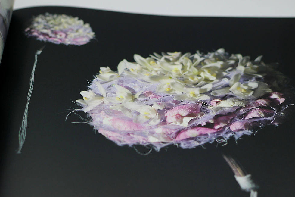 Thumbnail: Floral Experiments
