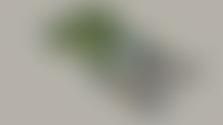 Moderne tehnologije u arhitekturi   FOTOGRAMETRIJA