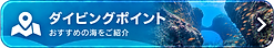 pointbutton.png