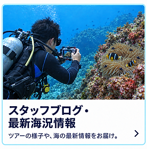 TOP_BLOG_SP.png