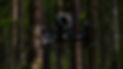 DSC06532.jpg