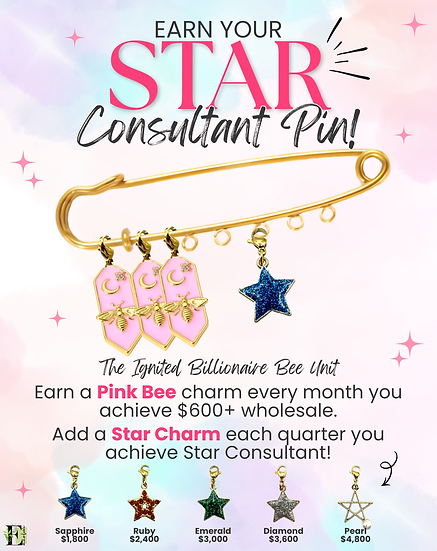 Star & Bee Pin.png