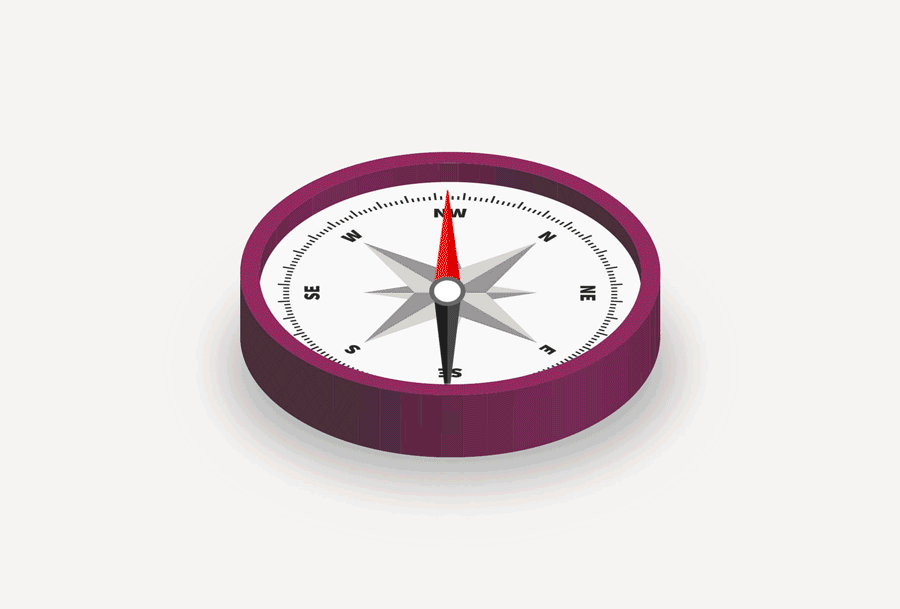 61f80bc162a2dc2cf150e1e5_blog-image-COMPASS_2.gif
