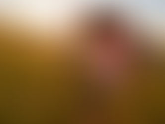 Promoting Resilience and Adaptability in Early Childhood Education