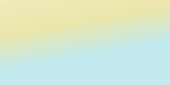 Copy of Gold Shimmer Glitter Aesthetic Sale Website Banner (8).png
