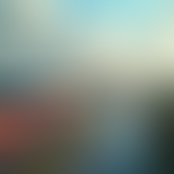 Logística Eficiente con Monitoreo GPS en Tiempo Real