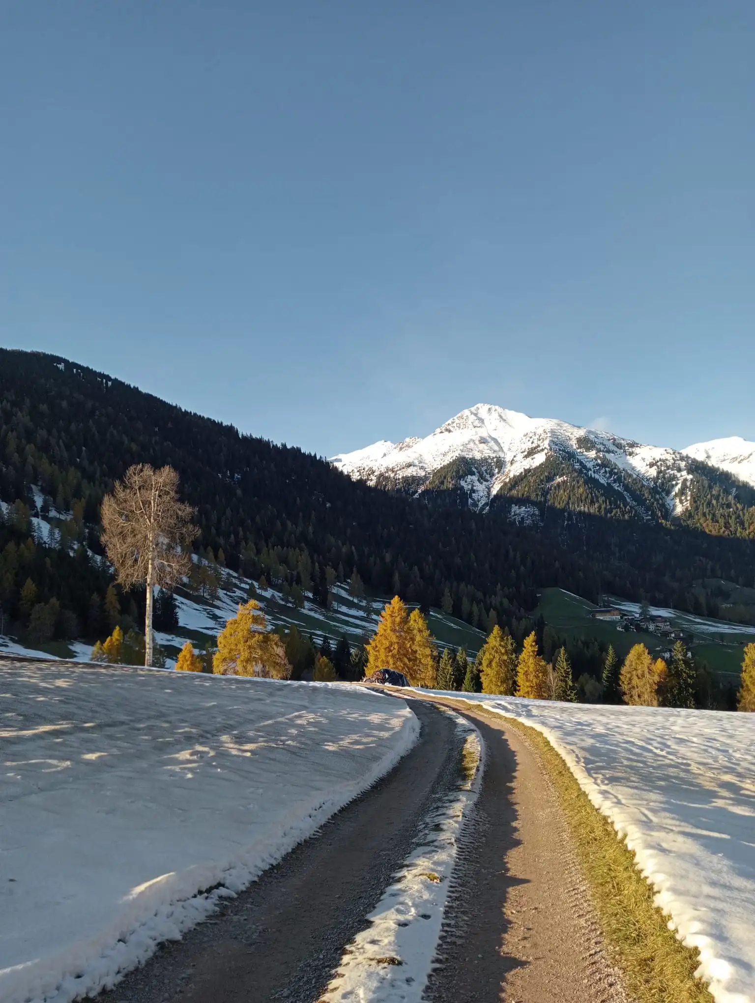 Paesaggio innevato con strada